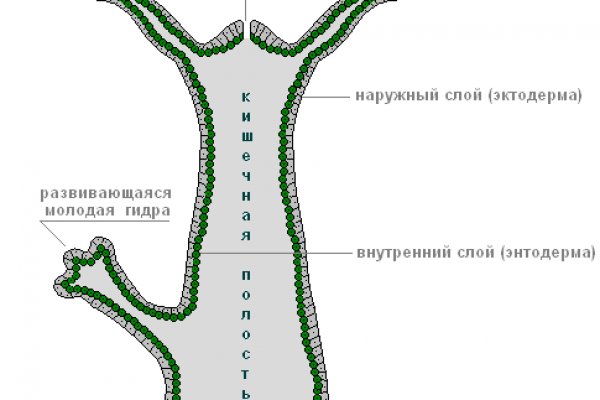 Не приходят деньги на кракен